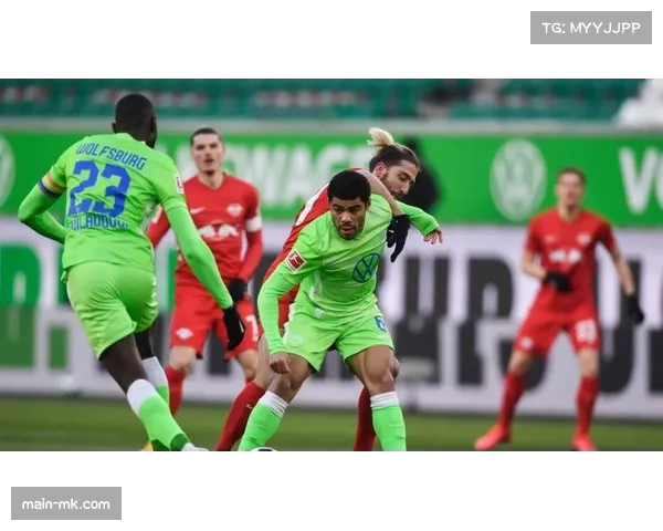 沃尔夫斯堡球迷组织发起请愿 要求DFB公开更多VAR音频